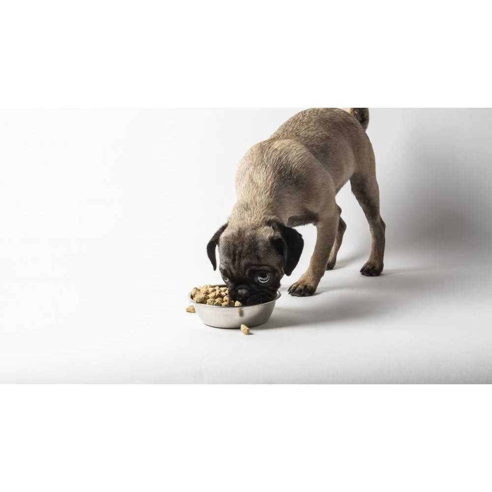 Freeze Dried Raw Small Breed Dog Food U182