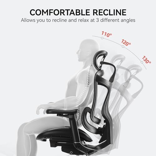 Ergonomic Office Chair with 3D Armrests, Adjustable Backrest, Grey L297