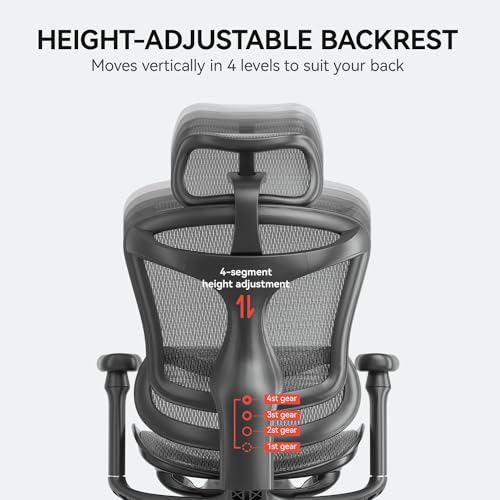 Ergonomic Office Chair with 3D Armrests, Adjustable Backrest, Grey L297