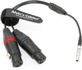 5 Pin Male to Two XLR 3 Pin Female Audio Input Cable Pack of 2 X565