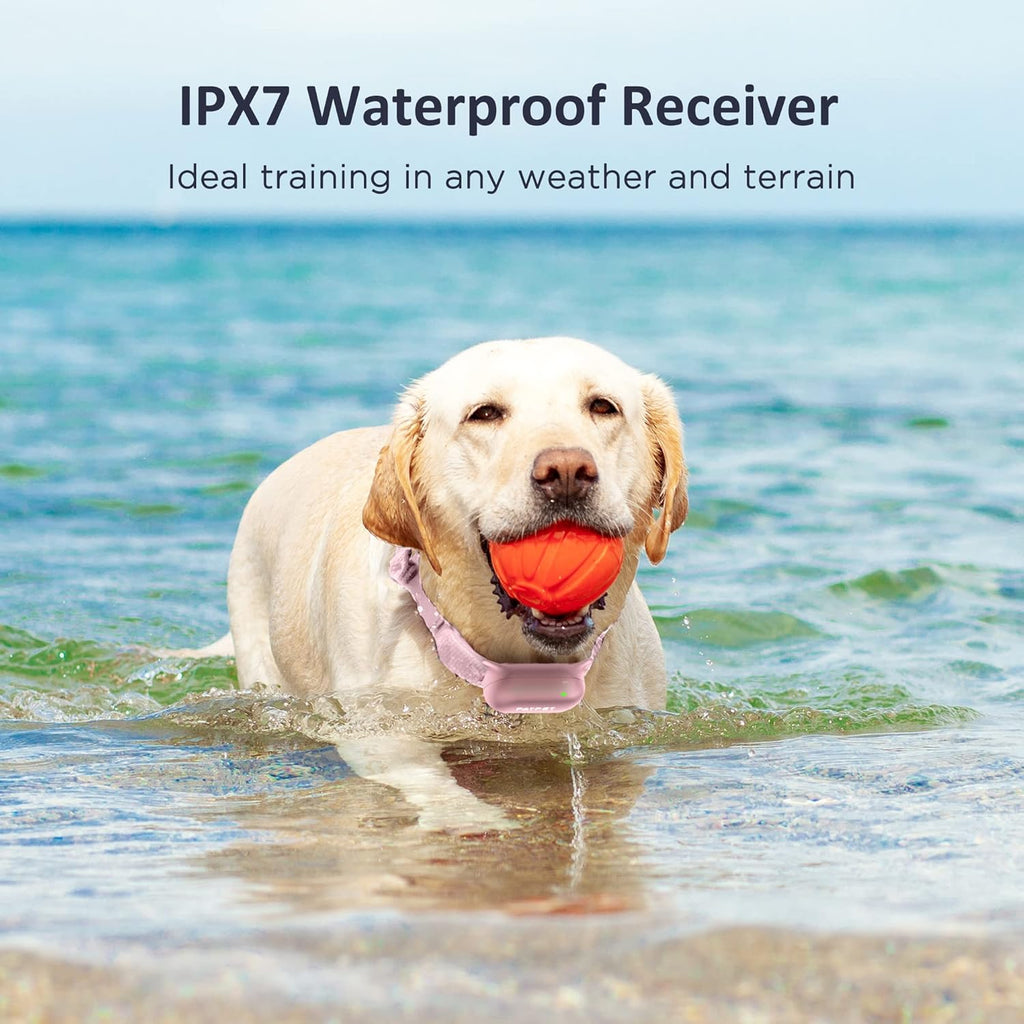 Rechargeable IPX7 Waterproof Dog Training Collar with Remote, Pack of 2 M14121