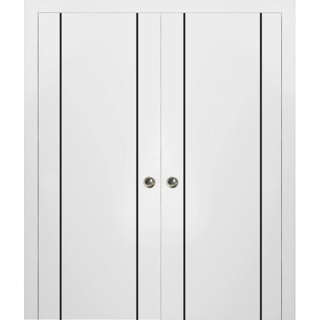 Sliding French Double Pocket Doors 48 x 80 inches White Silk with Frosted Glass Solid Wood Interior Doors R407805