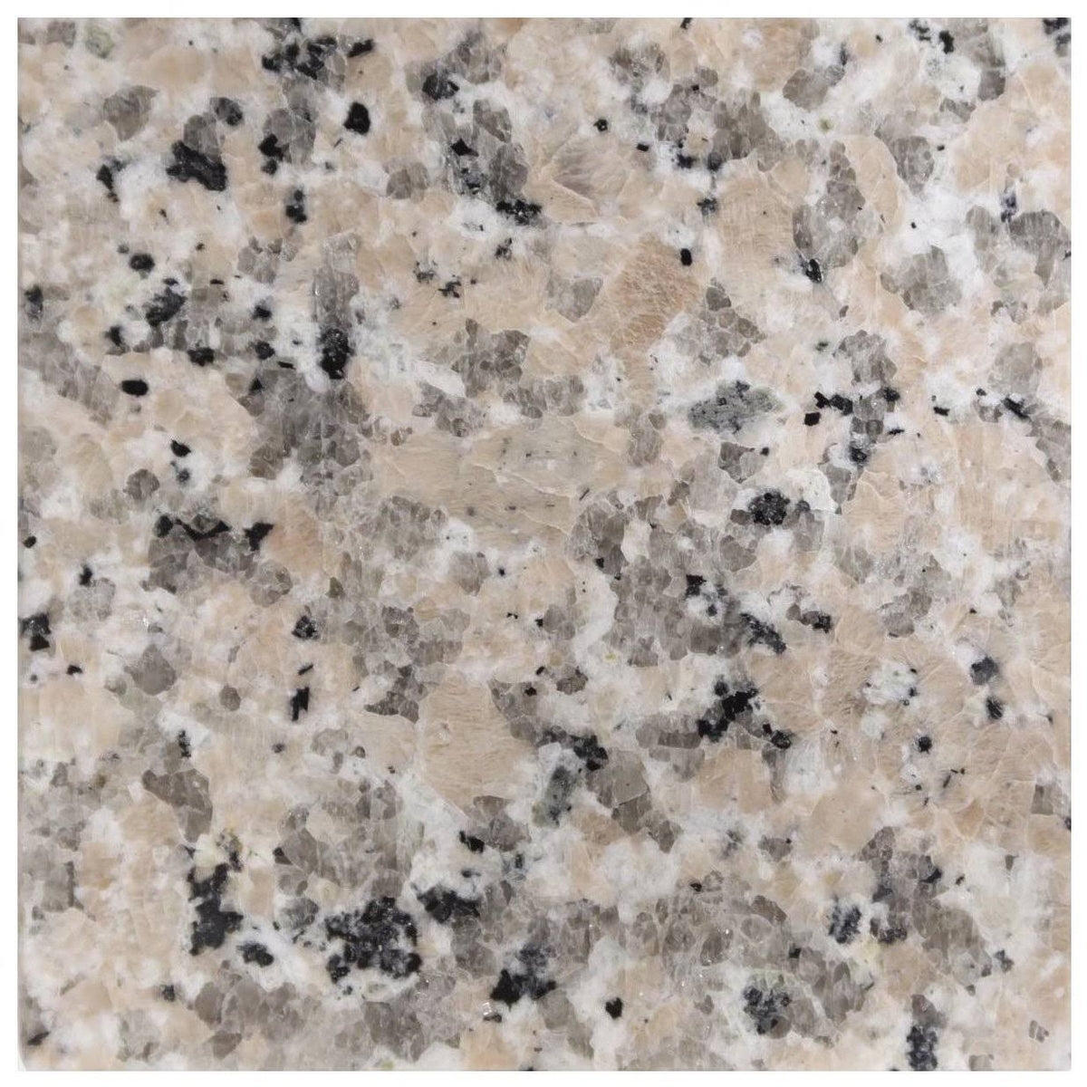 Burlywood Granite Vanity Top 37 in x 22 in with Backsplash 4 in Spread Z75211