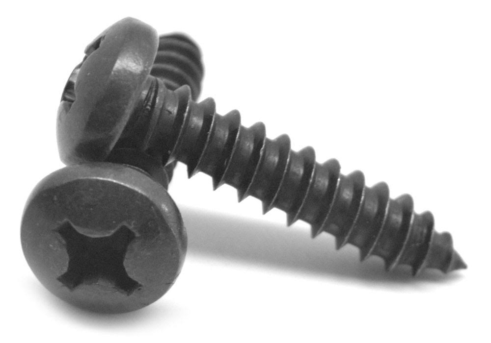 Black Oxide 18-8 Stainless Steel Sheet Metal Screw T877