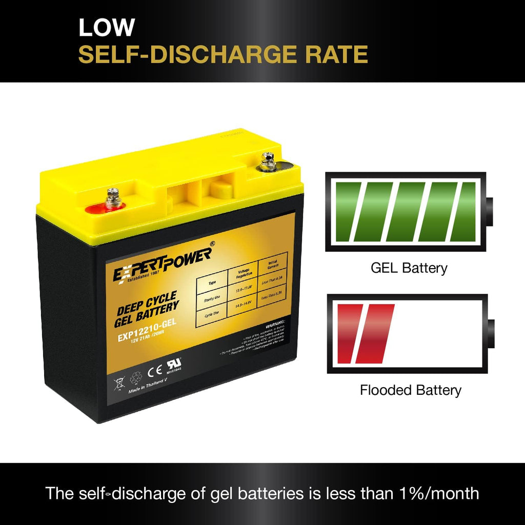12V 21AH Gel Deep Cycle Battery Pack of 2 V60188