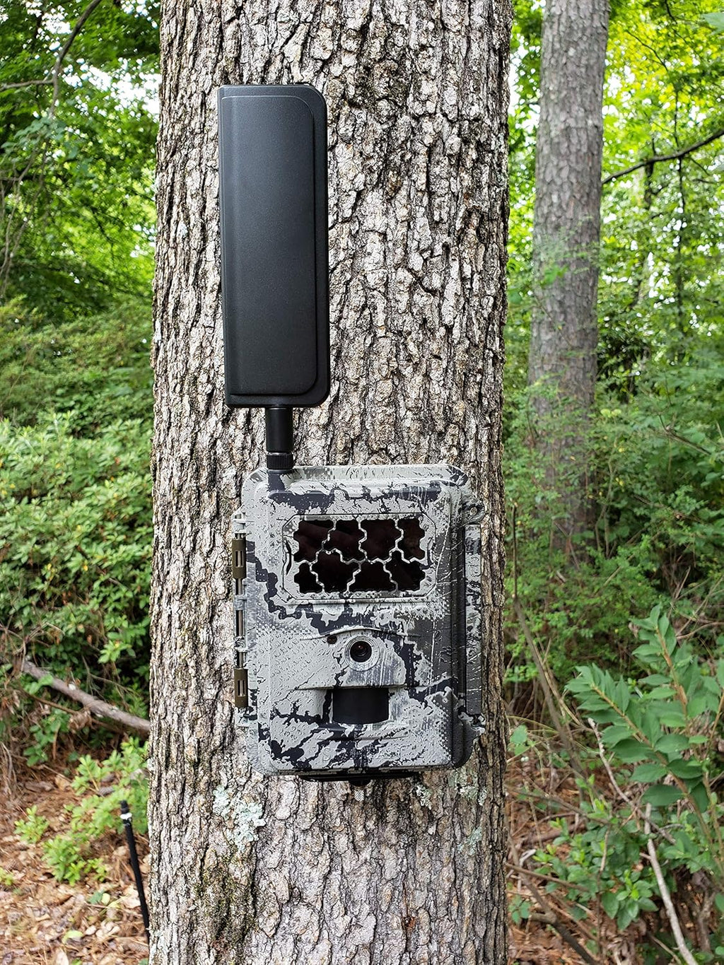 AT&T 4G LTE Wireless Trail Camera with Batteries, SD Card, Card Reader, and Mount E84361