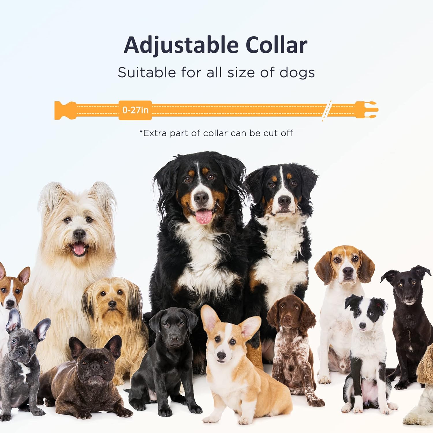 Rechargeable IPX7 Waterproof Dog Training Collar with Remote, Pack of 2 M14121