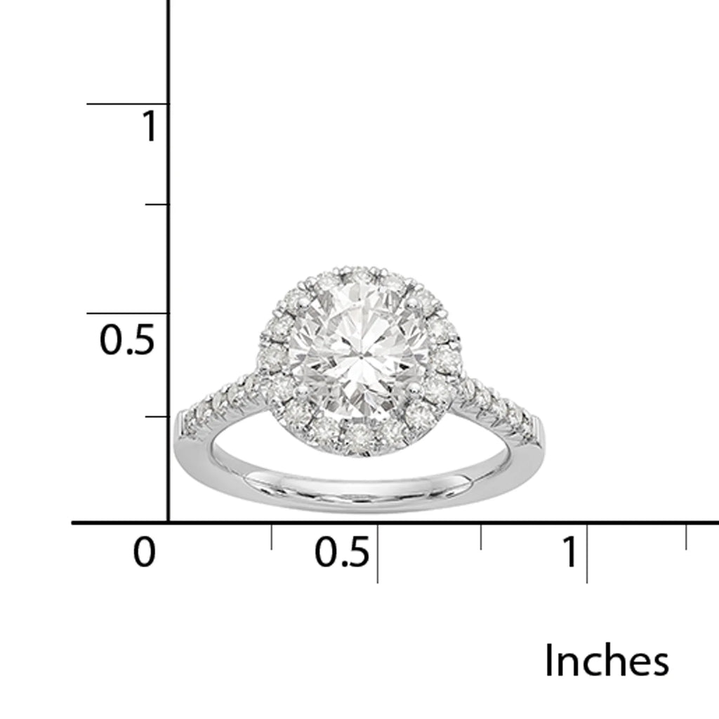 14 Karat White Gold Round Halo Moissanite Engagement Ring D833