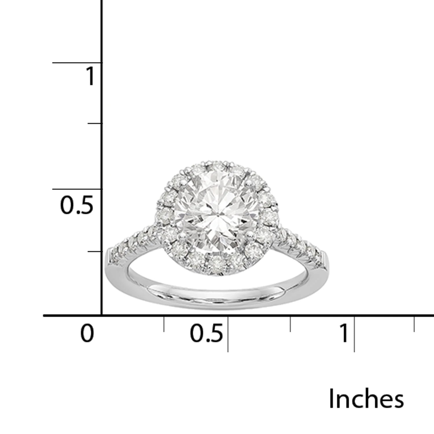 14 Karat White Gold Round Halo Moissanite Engagement Ring D833